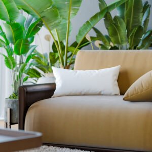 Organic Cotton Back Rest Pillow Inserts